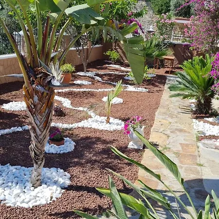 别墅 Kohler 阿拉尼亚