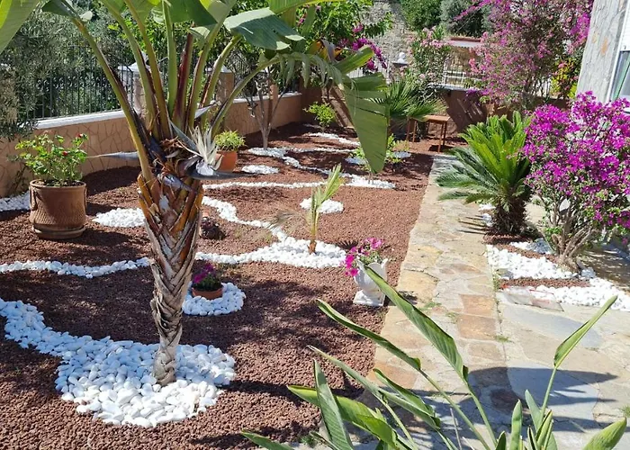Vila Kohler Alanya